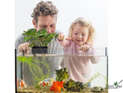 SwetAqua APH-S - Крепление для надводных растений