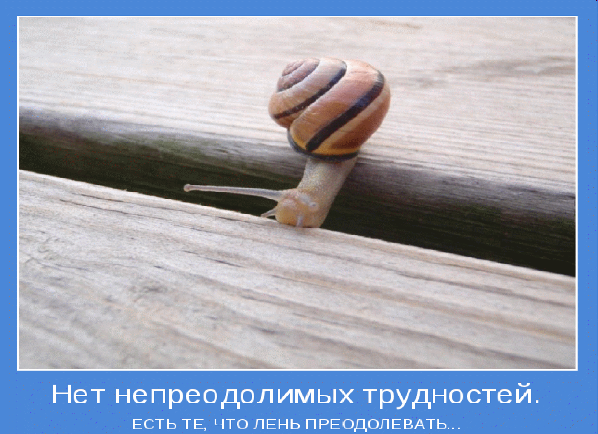 Демотиваторы Со Смыслом Лучшее