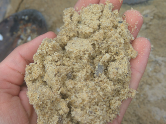 Крупнозернистый мытый песок