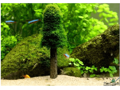 Декорация для мха Christmas Tree (дерево)