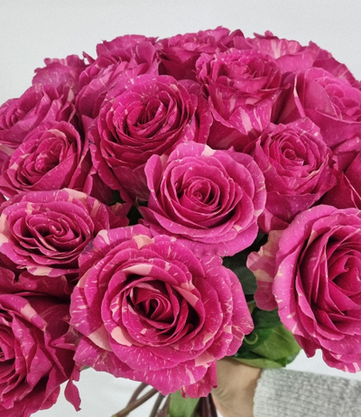 Роза Эквадор 60 см 25 шт