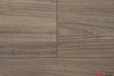 SPC ламинат Damy Floor Family Дуб Селект / Select Oak 001-2