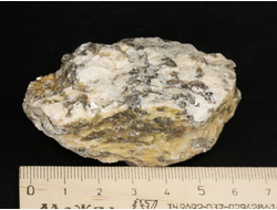 Гранит письменный, пегматит, необработанный "дикий" образец, Мурманская обл. (60*43*30 мм, 101 г) №35224