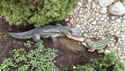 Крокодил 15*40см   1,2кг   полистоун Россия 1844/012457*