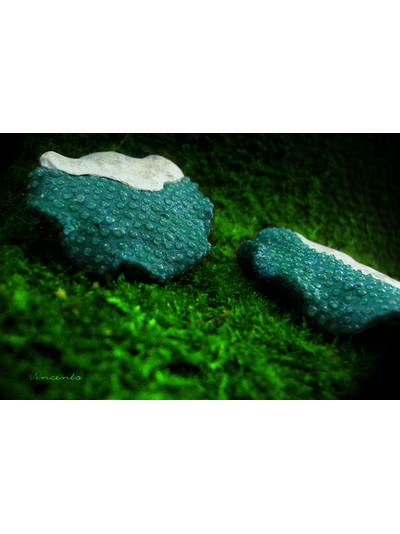 Круглые большие серьги с каплями "Сказки братьев Гримм"