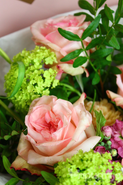 Букет цветов № 304