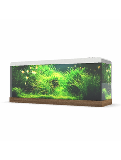аквариумы Аквариум 2N