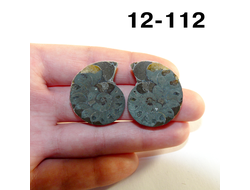 Аммонит окаменелый (симбирцитовый) № 12-112: пара 18,9г - 30*25*7мм