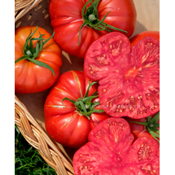 Томат Arnaldo (Арналдо), 10 шт