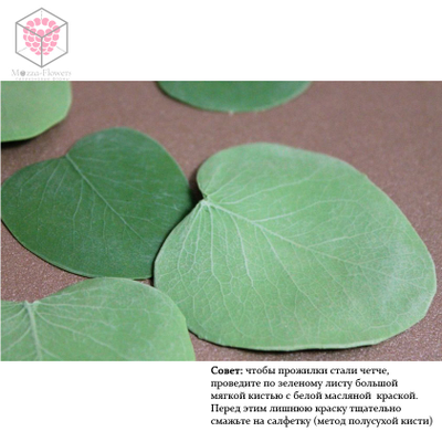 Вайнеры и каттеры "Лист эвкалипта"