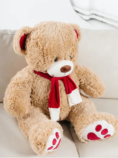 Медведь Кельвин с красным шарфом
