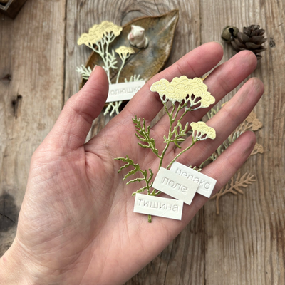 Набор ножей для вырубки "Пижма", MMC-C0236