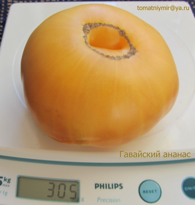 Томат Гавайский ананас (Hawaiian Pineapple)