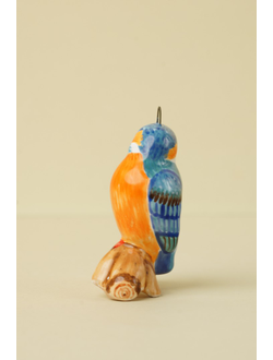 Зимородок - птицы России