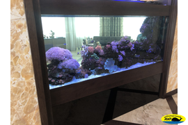 Морской аквариум