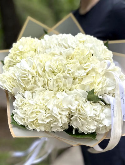 9 белых гортензий