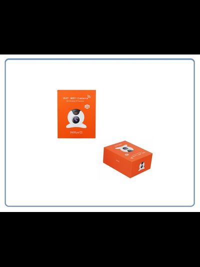 Видеоняня /WiFi видеокамера панорамная с DVR (fish-mini), HD