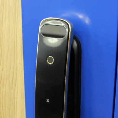 Стальная дверь   Lamborghini. Заказная модель.