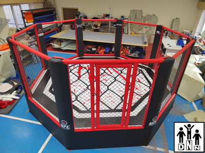 ММА октагон на помосте