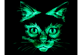 Светящаяся в темноте вышивка морда кошки