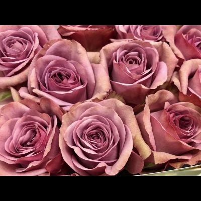 Монмартр (Montmartre) (копия)