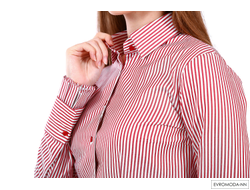 Блузка женская Фрида-Q-550