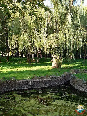 Сакский Курортный парк 