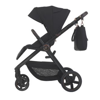 Коляска 2в1 Espiro Only 2024 310 Stylish Black