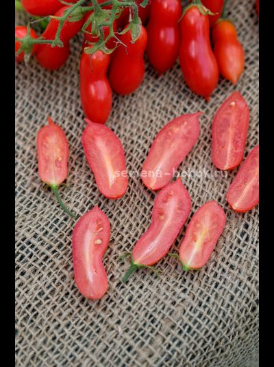 Томат Pelino 2014 (Пелино 2014), 7 шт