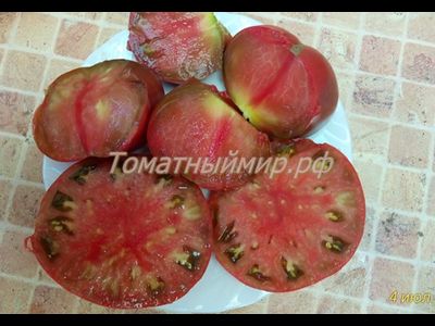 Томат Полярная звезда, (Поларис, Polaris)