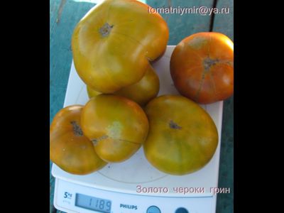 Томат  Золото Cherocee Green (Золото Чероки грин)