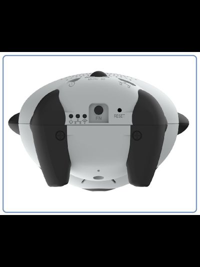 Видеоняня Panda WiFi-LAN видеокамера с DVR , HD (MIPC)