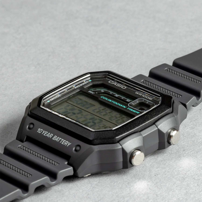 Часы Casio WS-1600H-8A
