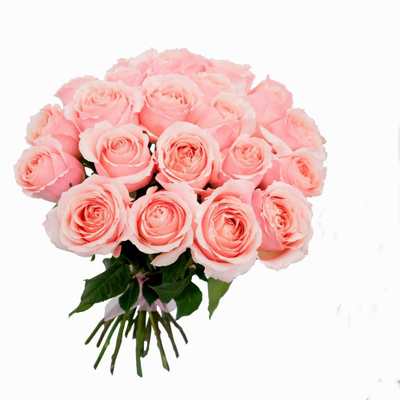 Букет из 25 роз под ленту