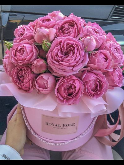 peony delight