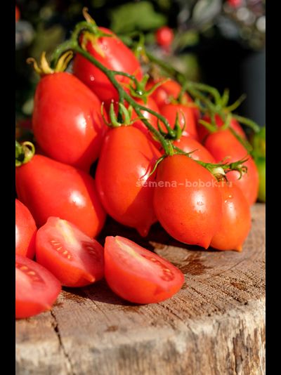 Томат Матрешка, 10 шт