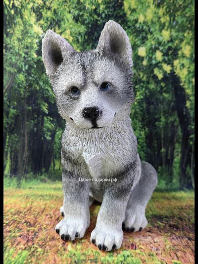 Хаски - садовая фигура 37*30*20см  1,7кг   экологичный полистоун Россия  2798/012979 Не боится влаги и перепадов температур