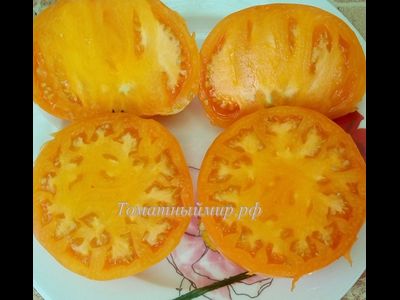 Томат Большой золотой вкусный (Big Golden Delicious)