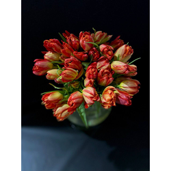 Тюльпаны пионовидные 35 шт