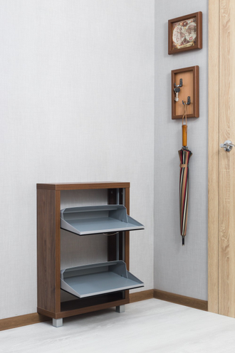 Обувница Айрон-2 (фасад стекло черное)