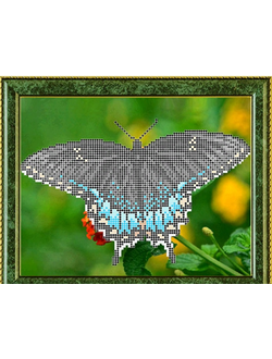 Черный Мохаон, К4149