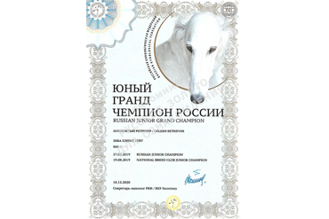 Лора = Зива Хэвенс Гейт - Юный Гранд Чемпион России