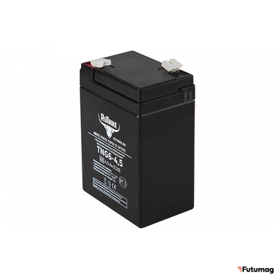 Аккумуляторная батарея RuTrike TNG6-4,5 (6V4,5A/H C20)