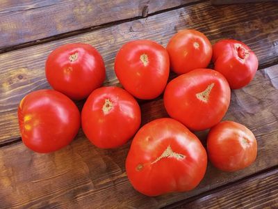 Томат Летя (Rosii de Letea), Румыния