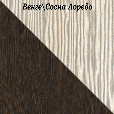 Шкаф платяной ШП600 Ника (Эра)
