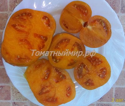 Томат гном Полосатый Джереми (Dwarf Jeremy’s Stripes), США