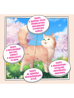 ZILLII Urinary Care Cat  корм для взрослых кошек, PH контроль , Индейка 0.4 кг