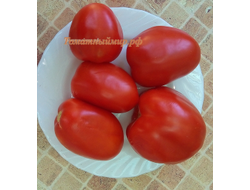 Томат Де Барао красный волгоградский (усл.)