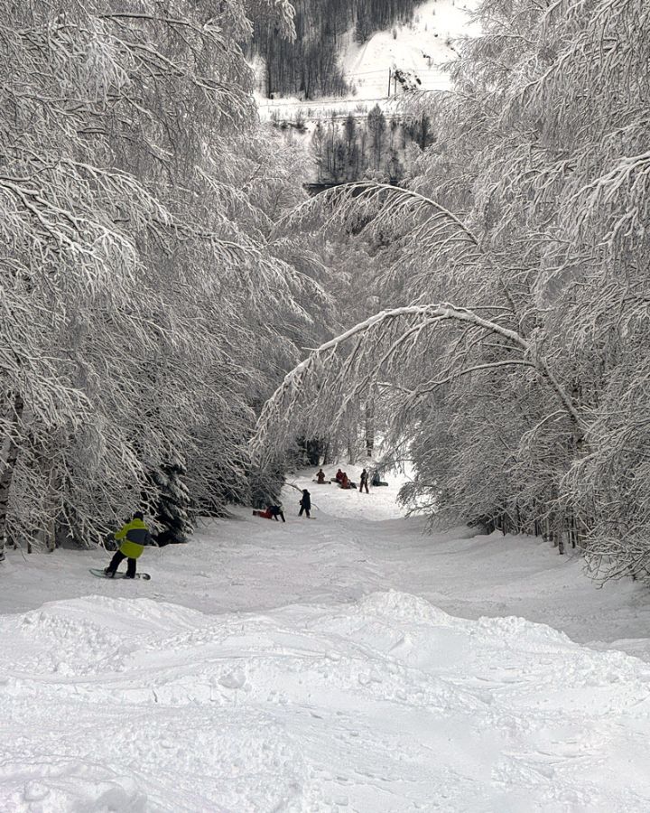 Перешеек с буграми среди деревьев