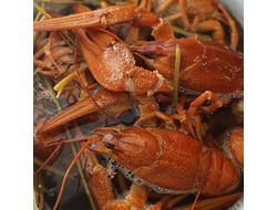 Раки "Классические"